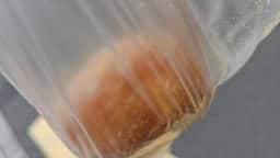 焼きたてパン タカヤマ