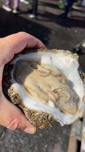 那珂湊 森田水産