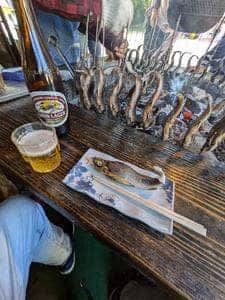 いわな庵 青木