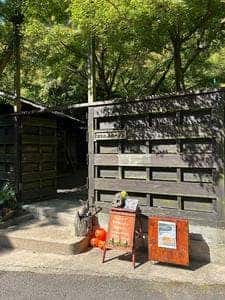タキビネコ