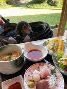海神人の食卓 宴