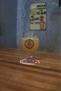 Beer Secondary Base