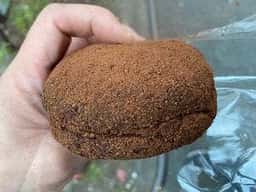 ABEBE BAKERY