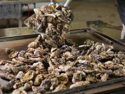 かき焼 うちの海