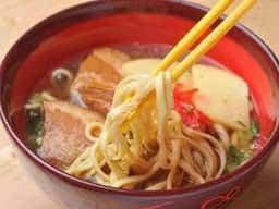 がじゅまるの木