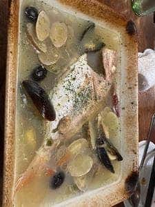 サカナバル コラーレ