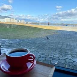 Bird Cafe