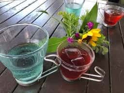 ハーブランドシーズン