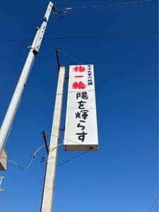 陽を輝らす
