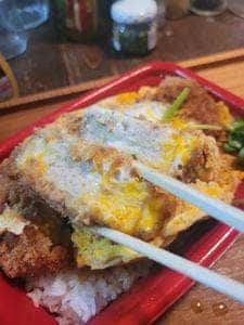松のや／マイカリー食堂 橋本店