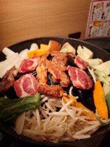 極み塩熟成ジンギスカン ゆうひ