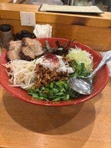 Japanese TOTTORI Needle 藤喜