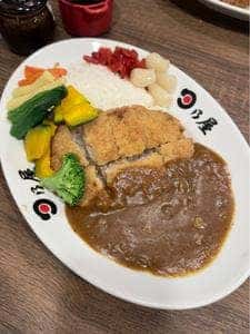 日乃屋カレー JR川崎タワー店