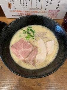 海鳥