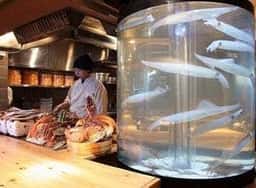 ★北海道物産 東京立川