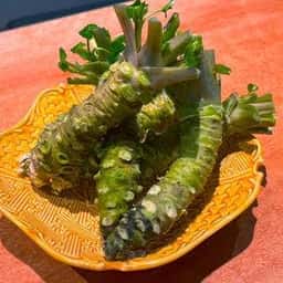 大人のわさび