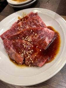 ヤキニクキナシ