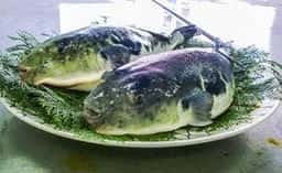 かに・ふぐ料理 むらかみ
