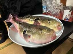 相撲茶屋 大塚