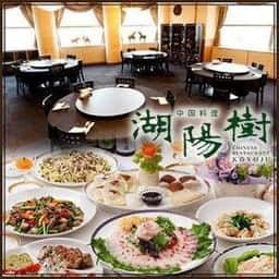湖陽樹 谷町店