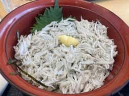 レストラン フルット 男鹿水族館GAO