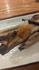 居酒屋 ひもの野郎 東京駅ヤエチカ 八重洲地下街