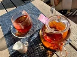 garden cafe ALL THE ORZA