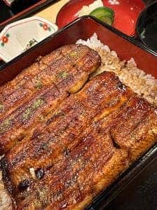 うなぎみや川 高津