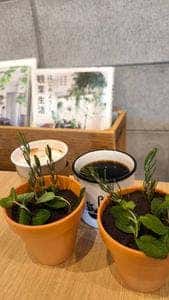 the SOUP green & cafe