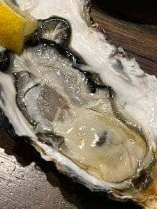 どさんこ酒場 森町しげぞう 八重洲店