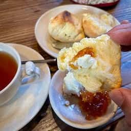 こども文庫 upon NASH