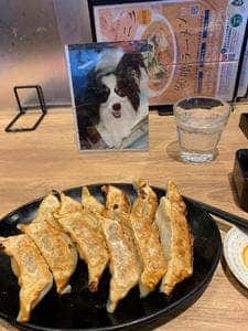GYOZA OHSHO 烏丸御池店