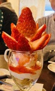 古民家cafe しぃーうえすと