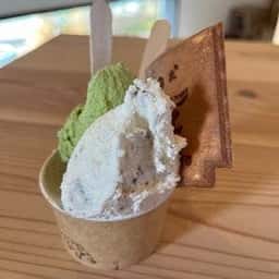 狛犬GELATO