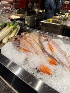 のどぐろの中俣 築地