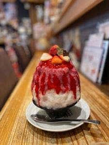 まめ茶和ん