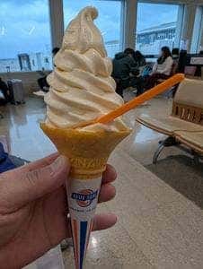 ANA FESTA 沖縄ゲート店