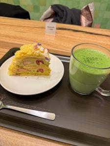 スターバックス ティバーナ ストア 銀座マロニエ通り