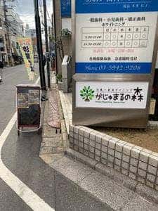 がじゅまるの森