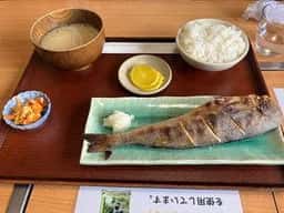 よってけまるとみ