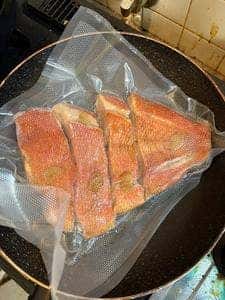 魚竹