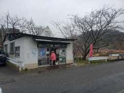 佐久間ダム湖 かわせみ