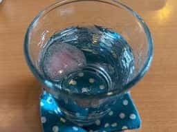 ハーベスト