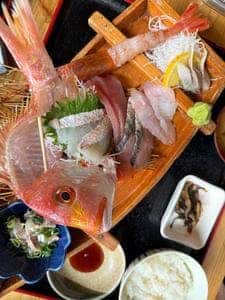 たんぱく大国