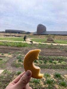 ラ コリーナ 近江八幡