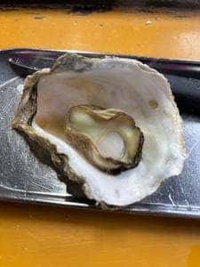 冨士丸