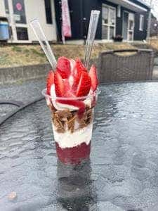 TsukariBerrys