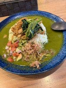 Japanese Spicecurry Wacca