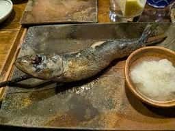 居酒屋 ちょーちょ