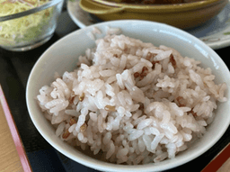 吉野ヶ里歴史公園 レストラン